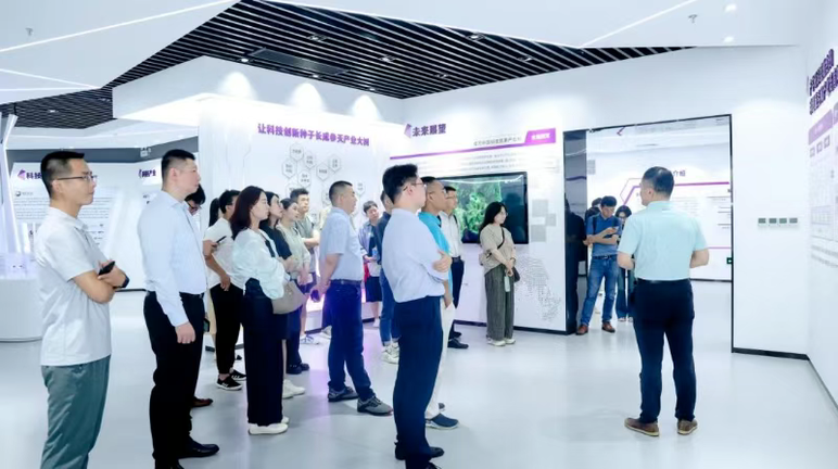 Đợt tăng tốc kỳ lân khi sóng trào trước biển